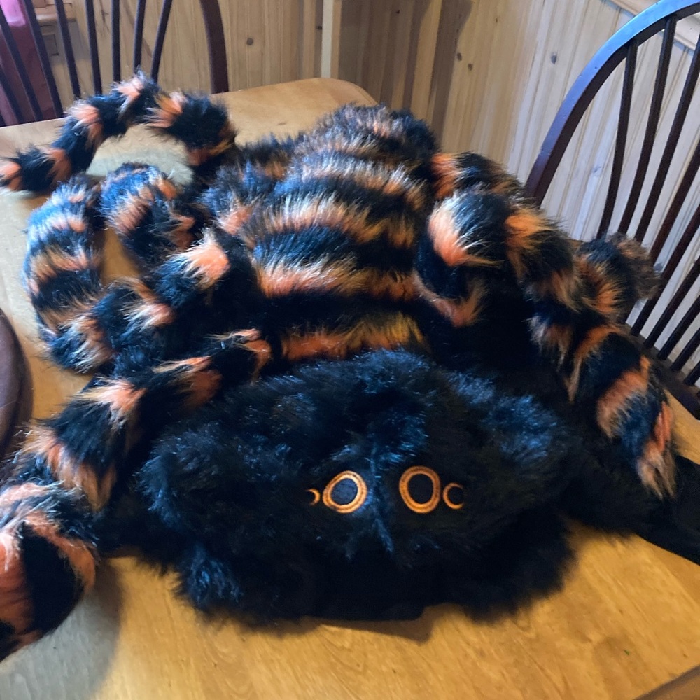Skull and Bones dog spider Halloween costume